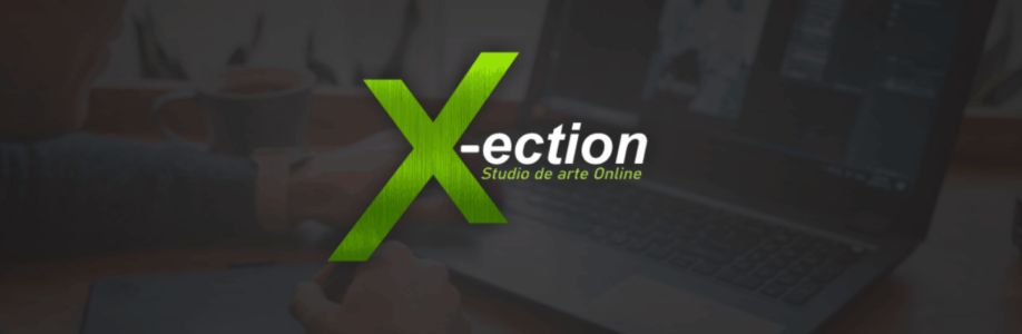 X-ection Cover Image