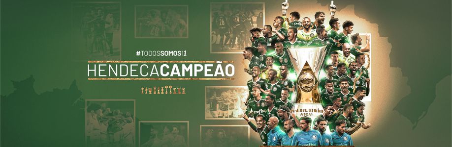 SE Palmeiras Cover Image