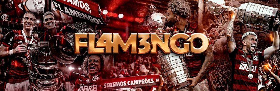 Flamengo Cover Image